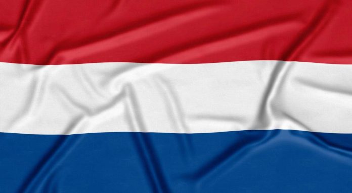 Cum iti deschizi firma in Olanda