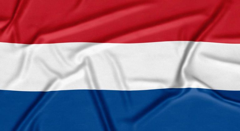 Cum iti deschizi firma in Olanda